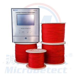 Distributed Temperature Sensing (DTS) System